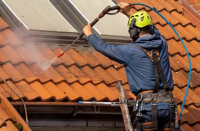 Démoussage et hydrofuge de toiture à Pinay